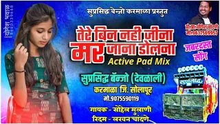  tere bin mar jana suprasiddh banjo karmala pad mix