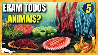 A EXPLOSÃO de AVALON e a BIOTA de EDIACARA  - Feat. @abcterra