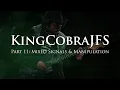 KingCobraJFS - Part 11 Mixed Signals Manipulation