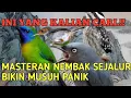 Lagu masteran sejalur materi mudah masuk menarik perhatian #masteranjuara