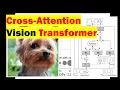 CrossViT Cross-Attention Multi-Scale Vision Transformer for Image Classification Paper Review