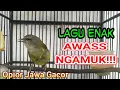 Download Lagu Opior Jawa Gacor Variasi