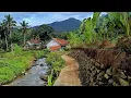 Download Lagu Inilah‼️kampung tersubur super indah di Ciamis,kalo lewat sini cobalah mampir dulu