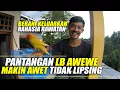 Lagu Keluarkan Rahasia Rawatan Lovebird Awewe Makin Awet Tidak Lipsing