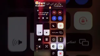 عالم صراحه  خنازير دندنها