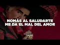 Vicente Fernández - Lastima Que Seas Ajena (Letra)