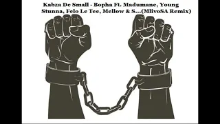 kabza de small bopha ft madumane young stunna felo le tee mellow u0026 s mlivosa remix 