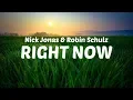 Download Lagu Nick Jonas, Robin Schulz - Right Now [LYRIC VIDEO]