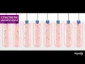 Nucleic acid purification with chemagic M-PVA Magnetic Bead Technology