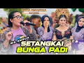Download Lagu Setangkai Bunga Padi Ria Amelia Putra Megantara Edisi Nyongkolan Gegeuntur Mataram Terbaru