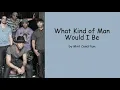 What Kind of Man Would I Be by Mint Condition (Lyrics)