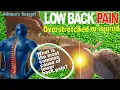 Low Back Pain Massage Technique - Athena Secrets