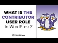 What is the Contributor User Role in WordPress
