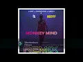 Monkey Mind - LIZOT x Paradigm x AMELY x Crypto Beat Remix