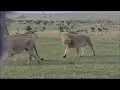 Download Lagu Lokorlup vs Lekijana, Kijana \u0026 Rongai Boy