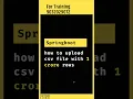 Java Spring Boot Upload CSV file with 1 Crore Rows Async Batch Insert