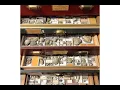 How to start a fossil collection cleaning cataloging labeling storing organizing