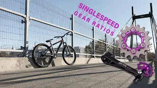 singlespeed conversion gear ratios