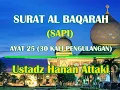 SURAT AL BAQARAH AYAT 25 (30 Kali Pengulangan) - MERDU PENYEJUK HATI - USTADZ HANAN ATTAKI