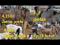 Lagu Harga kambing hari ini di pasar cipari 