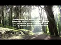 JT - sideways (clean+lyrics)