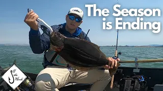 My Last Halibut Trip in SF Bay for 2024