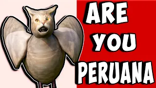 CAPIBARA 🦫 Tranforma a GATO 😿 en una PALOMA PERUANA