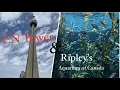 Checking out Canada s CN Tower Ripleys Aquarium