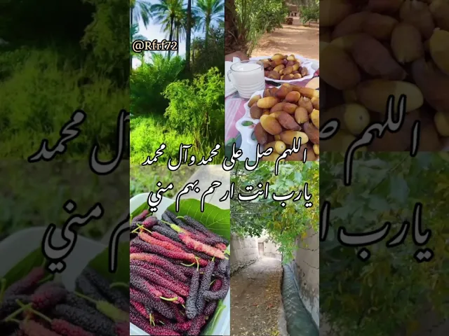 ⁣قصة قصيرة #اكسبلور #دويتو #العظماء #لايك #الرحمن #متابعه #العلم #تيك_توك #المصحف #فؤاد_الحلفي