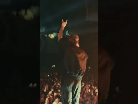 MINDREADER LIVE