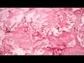 slenderbodies - queen (Official Audio)