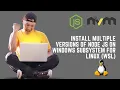 How to Install Multiple Versions of Node JS on WSL with Node Version Manager