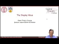 Understanding The Shapley Value