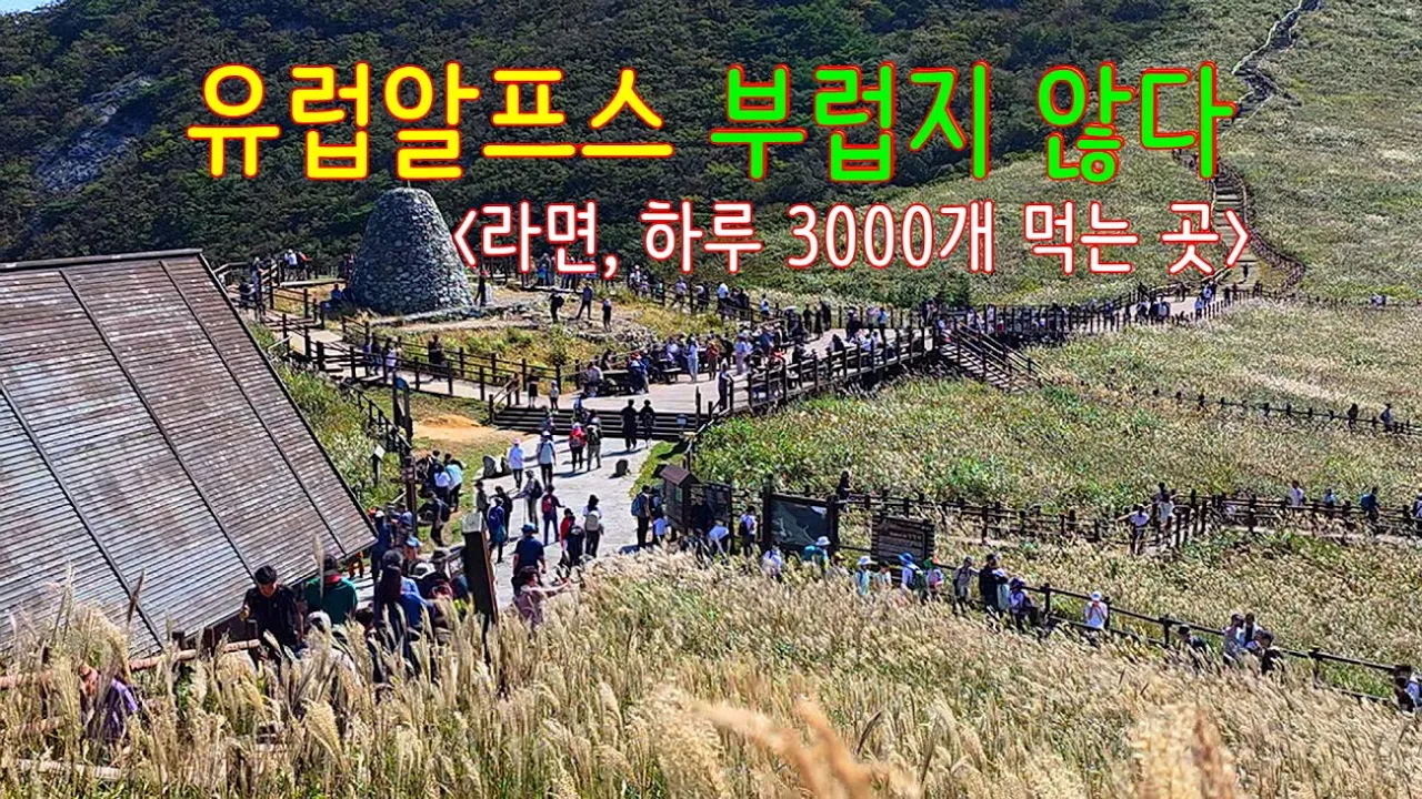 관련 영상 썸네일