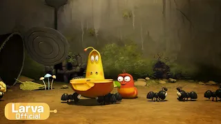 Ant | Animation Compilation | Larva Tuba | Official