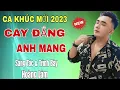 Download Lagu MV Mới ✓ Cay Đắng Anh Mang ✓ Sáng Tác \u0026 Trình Bày - Hoàng Lâm ( anh và em có duyên nhưng không nợ..)