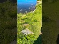 Download Lagu 1 of 5-Seenweg, Stellisee, Must-Visit Lake in Zermatt, Switzerland🇨🇭