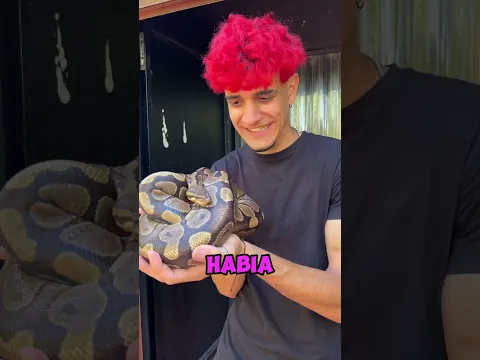 TENGO un COCODRILO de MASCOTA en CASA!