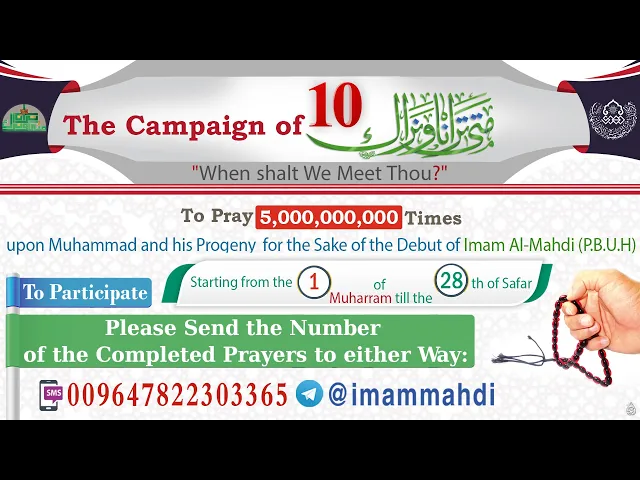 ⁣The Campaign of