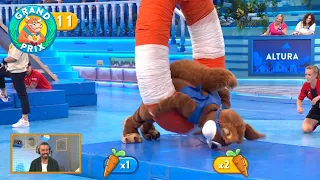 Misión zanahoria en una emocionante semifinal | El grand prix
