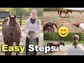 Download Lagu HOW TO LUNGE A HORSE FOR BEGINNERS 😊 🐴 | Without A Round Pen