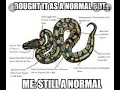 Python Crash Course 3rd Edition Chapter Eighteen
