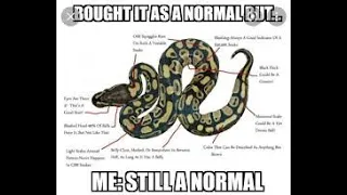 Python Crash Course 3rd Edition Chapter Eighteen