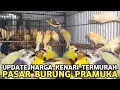 Lagu MEMBLUDAK ! KENARI TERMURAH BEBAS PILIH WARNA KELAMIN BAHAN GACOR HARGA SAMA DI PASAR BURUNG PRAMUKA