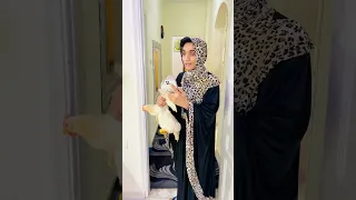 ملل الاجازه القيصر 