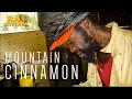 Mountain Cinnamon Taste Test
