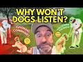 Stop These 10 Mistakes or Your Dog Will NEVER Obey