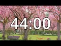 44 Minutes Timer with Music Cherry Blossom Timer