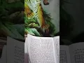 Kitab Mambaul hikmah ilmu kuno warisan leluhur pembukaan dari kitab asli