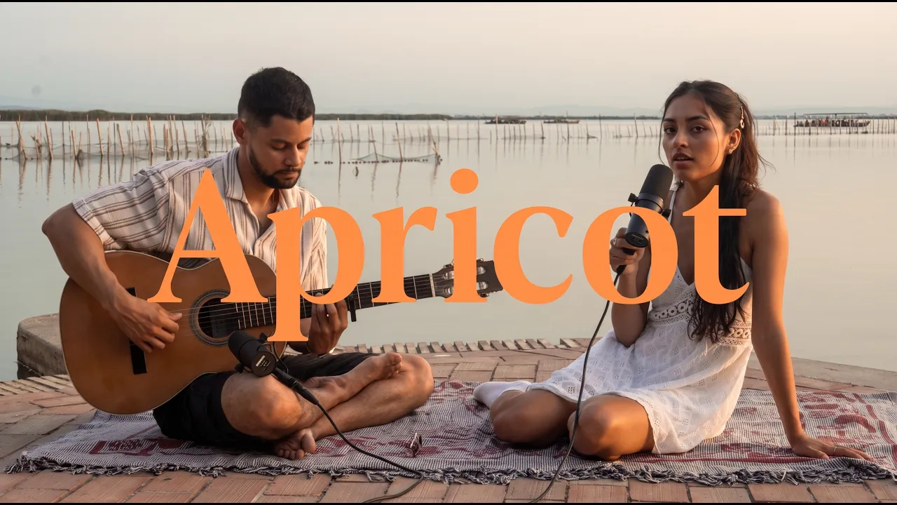 Fotograma del videoclip Apricot, de Cedelna & Fabraax
